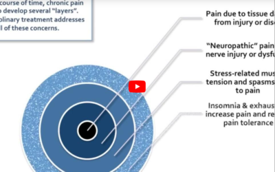 Pain as a Biopsychosocial Condition