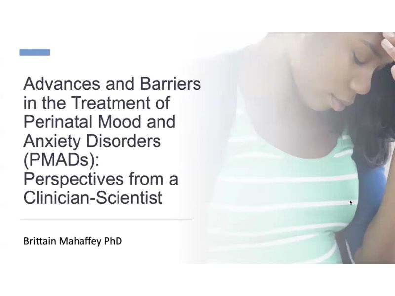 Advances and Barriers in the Treatment of Perinatal Mood and Anxiety Disorders (PMADs): Perspectives from a Clinician-Scientist